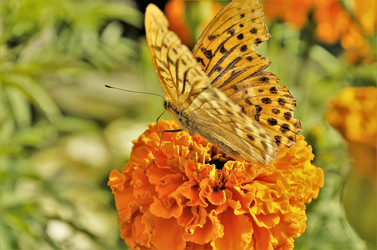 Similar image 21716364