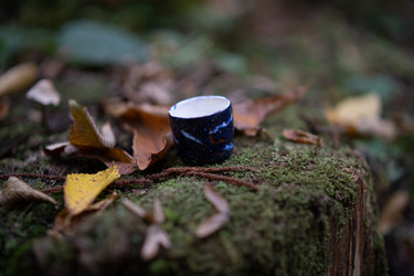 Similar image 21716156