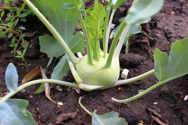 Similar image 21716371