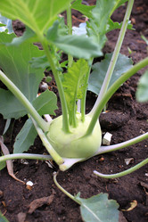 Similar image 21716372