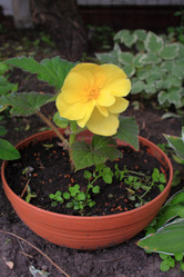 Similar image 21716374