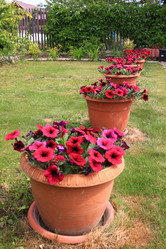 Similar image 21716375