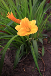 Similar image 21716376