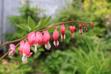 Similar image 21716377