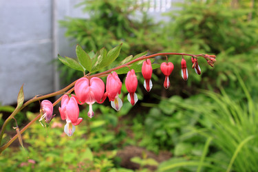 Similar image 21716378