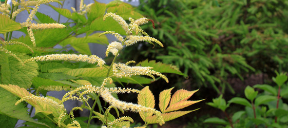 Similar image 21716379