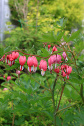 Similar image 21716380