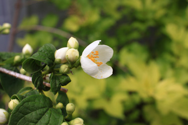 Similar image 21716381