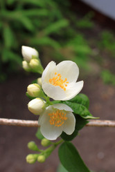 Similar image 21716382