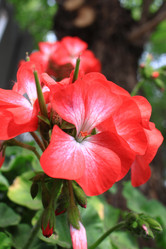 Similar image 21716383