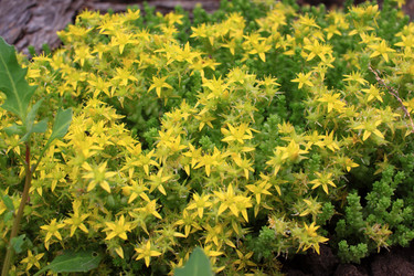 Similar image 21716385