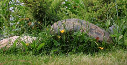 Similar image 21716386