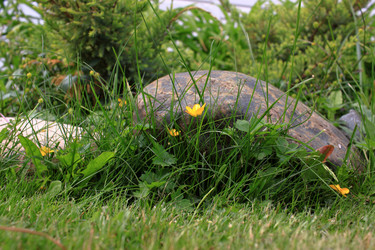 Similar image 21716387