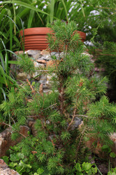 Similar image 21716388