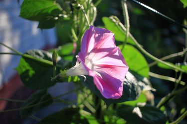 Similar image 21716389