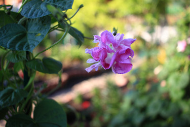 Similar image 21716390