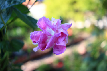 Similar image 21716391