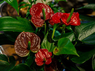 Similar image 21716403