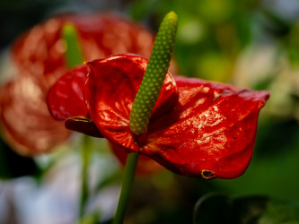 Similar image 21716404