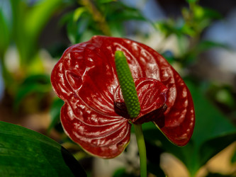 Similar image 21716405