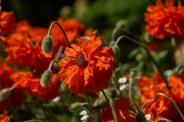 Similar image 21716408