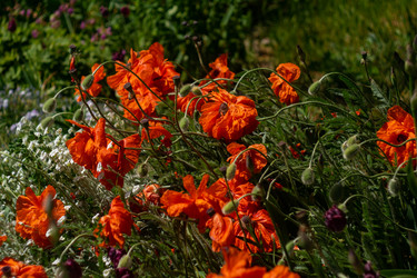 Similar image 21716410