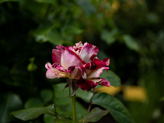 Similar image 21716412