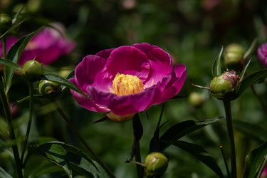 Similar image 21716413