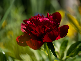 Similar image 21716414