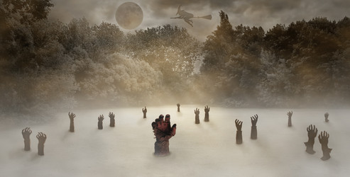 Similar image 21716426