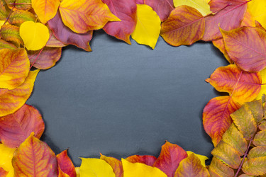 Similar image 21716433