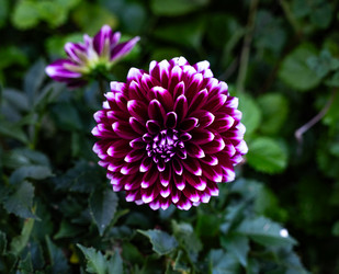 Similar image 21716436