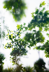 Similar image 21716438