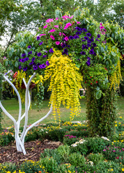 Similar image 21716439