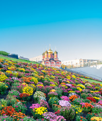 Similar image 21716444