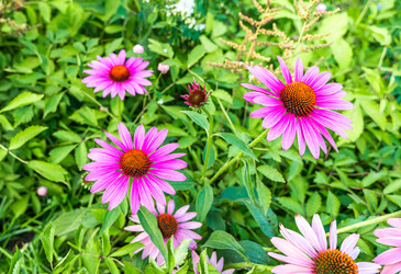 Similar image 21716448