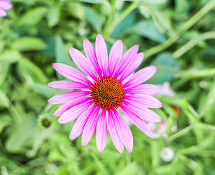 Similar image 21716449