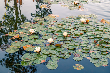 Similar image 21716450