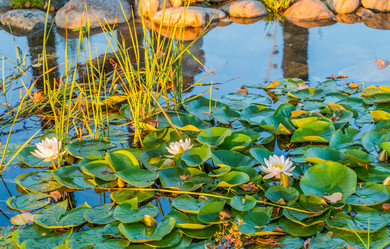 Similar image 21716451