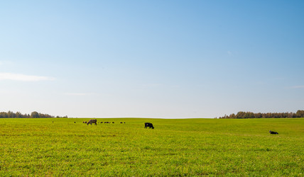 Similar image 21716452