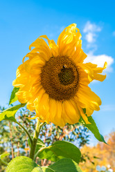 Similar image 21716453