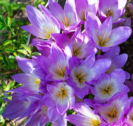 Similar image 21716454