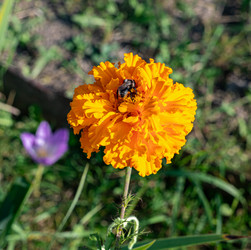 Similar image 21716455