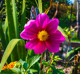 Similar image 21716456