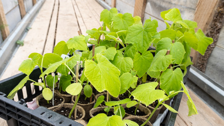 Similar image 21716180