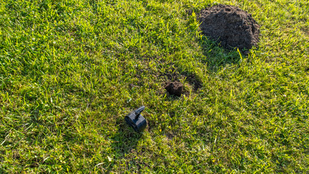 Similar image 21716184