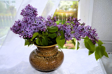 Similar image 21716513