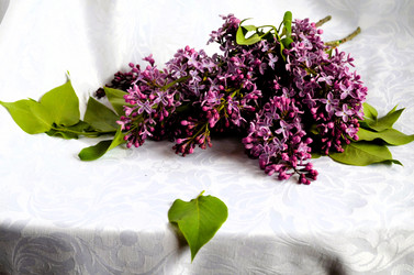 Similar image 21716514