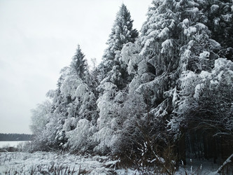 Similar image 21718088