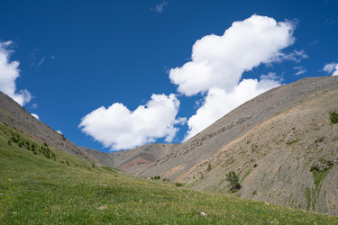 Similar image 21716760